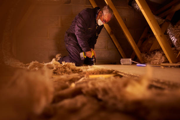 Garage Insulation Installation in Keokea, HI